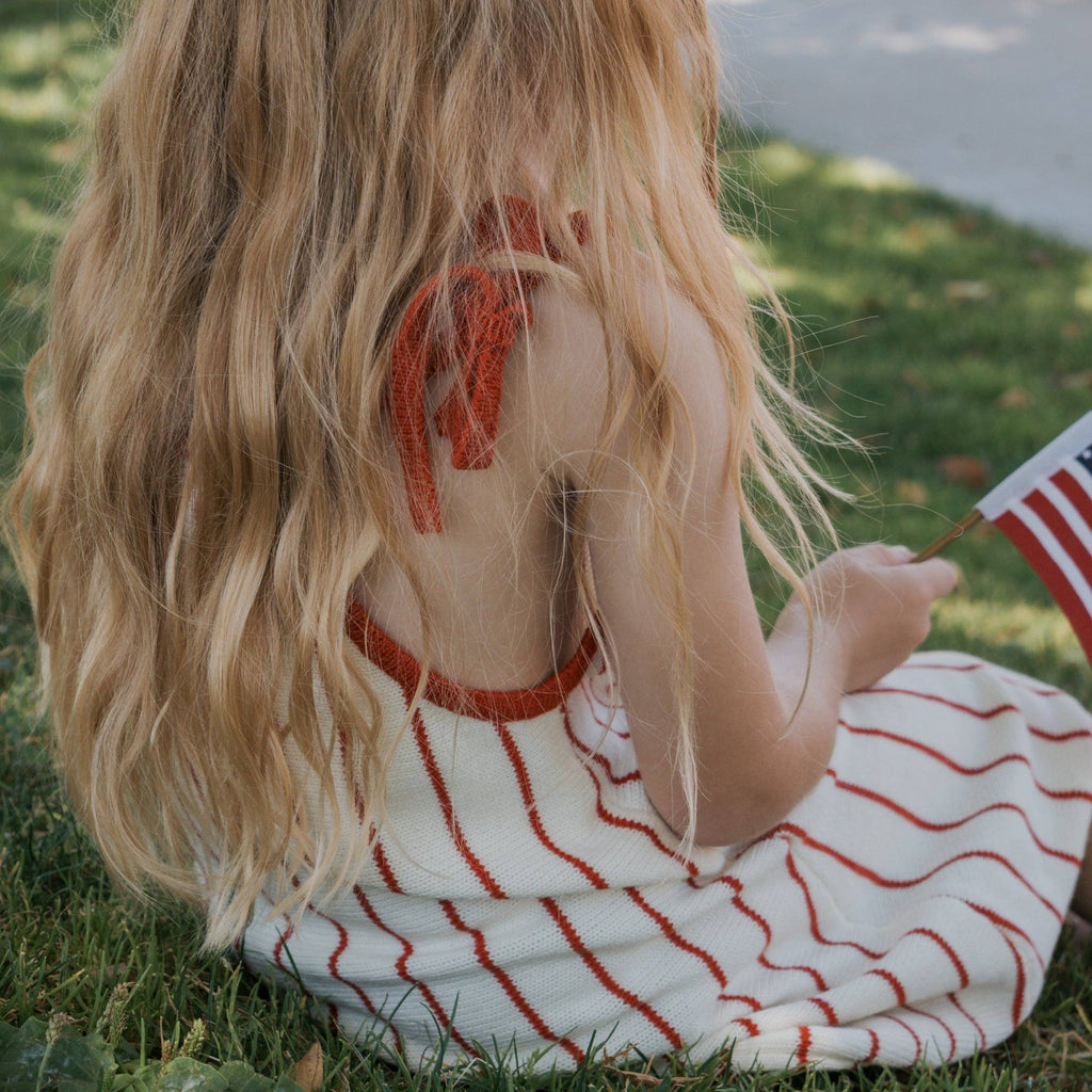 Americana Knit Dress🇺🇸
