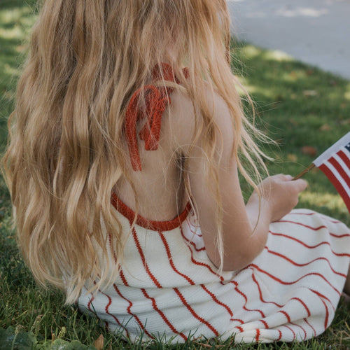 Americana Knit Dress🇺🇸