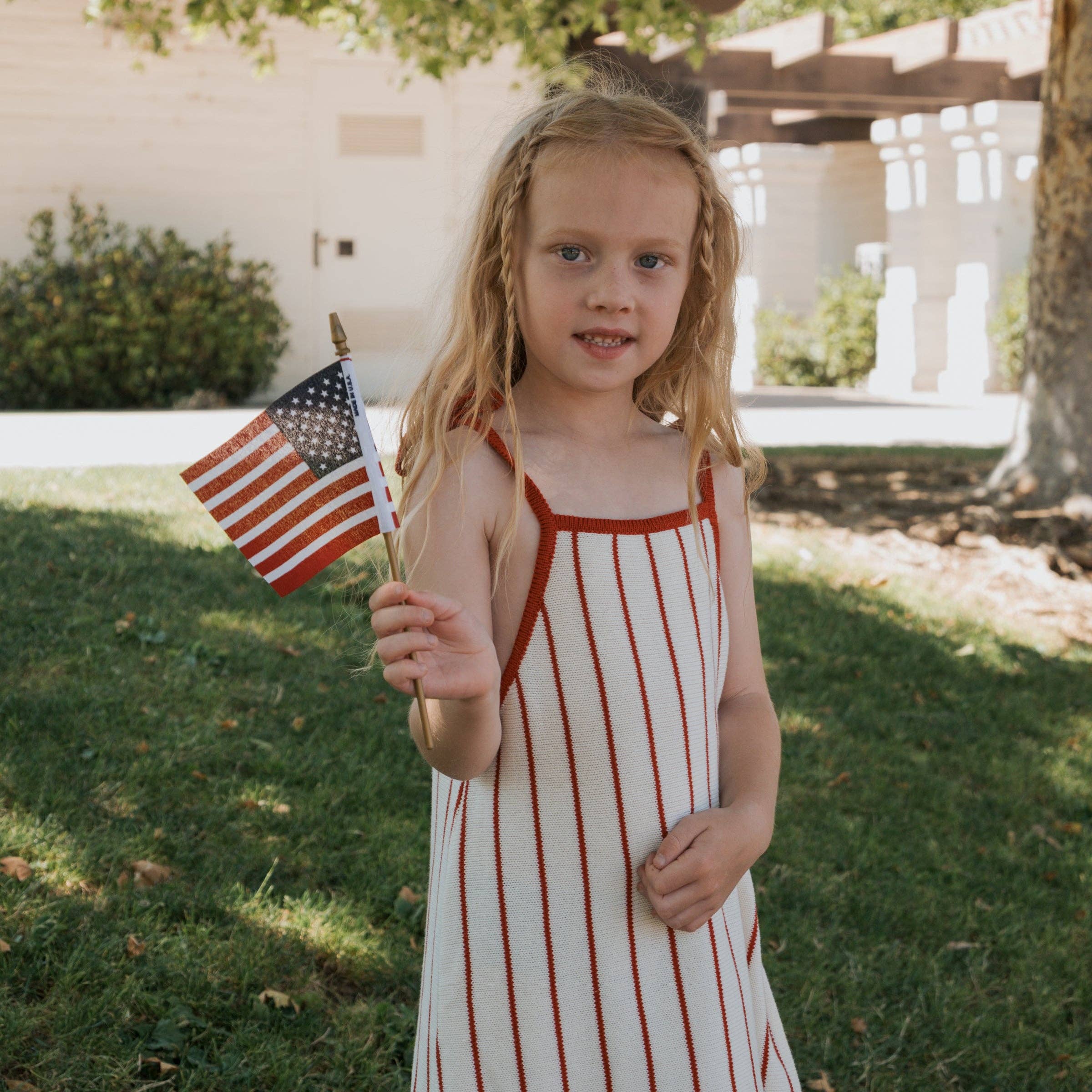 Americana Knit Dress🇺🇸